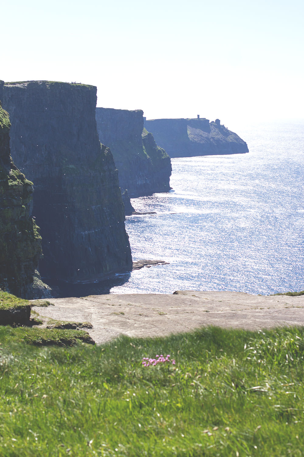 Irland-Rundreise mit Kerrygold, Bord Bia und Tourism Ireland - von Limerick und Adare bis zu den Cliffs of Moher