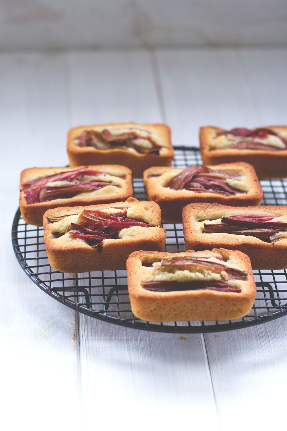 Rezept für saftige Rhabarber-Friands (oder Financiers) mit geröstetem Rhabarber | kleine feine Küchlein | moeyskitchen.com #rezepte #foodblogger #rhabarber #friands #financiers #kuchen #kuchenbacken