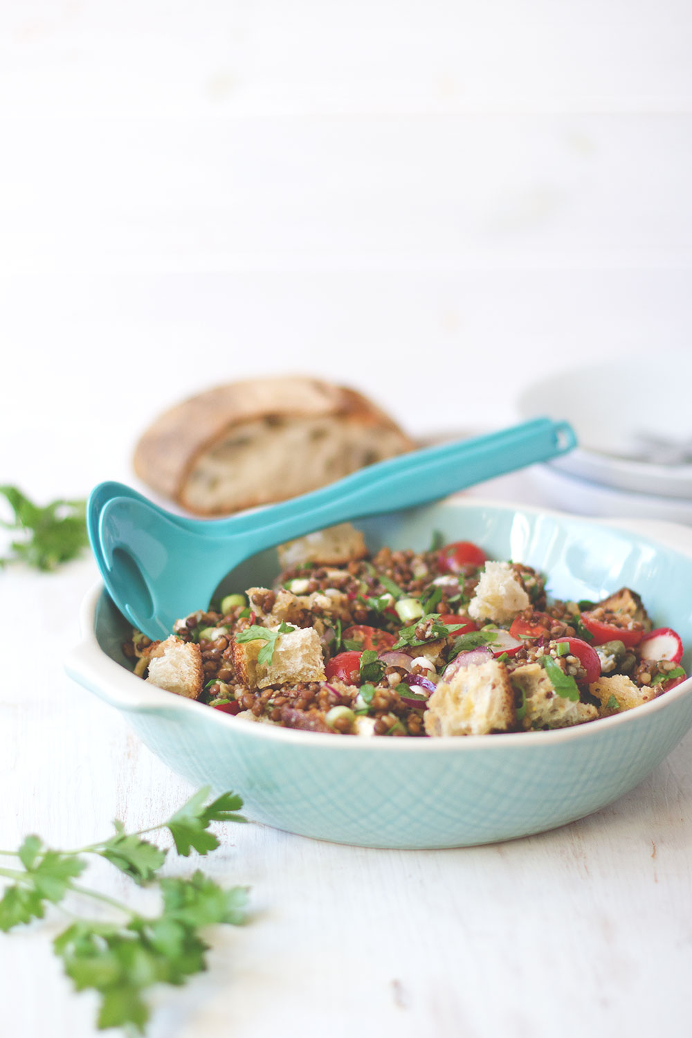 Mediterraner Linsensalat mit Ciabatta, Tomaten und Mozzarella - sommerliches Feierabend-Rezept | moeyskitchen.com