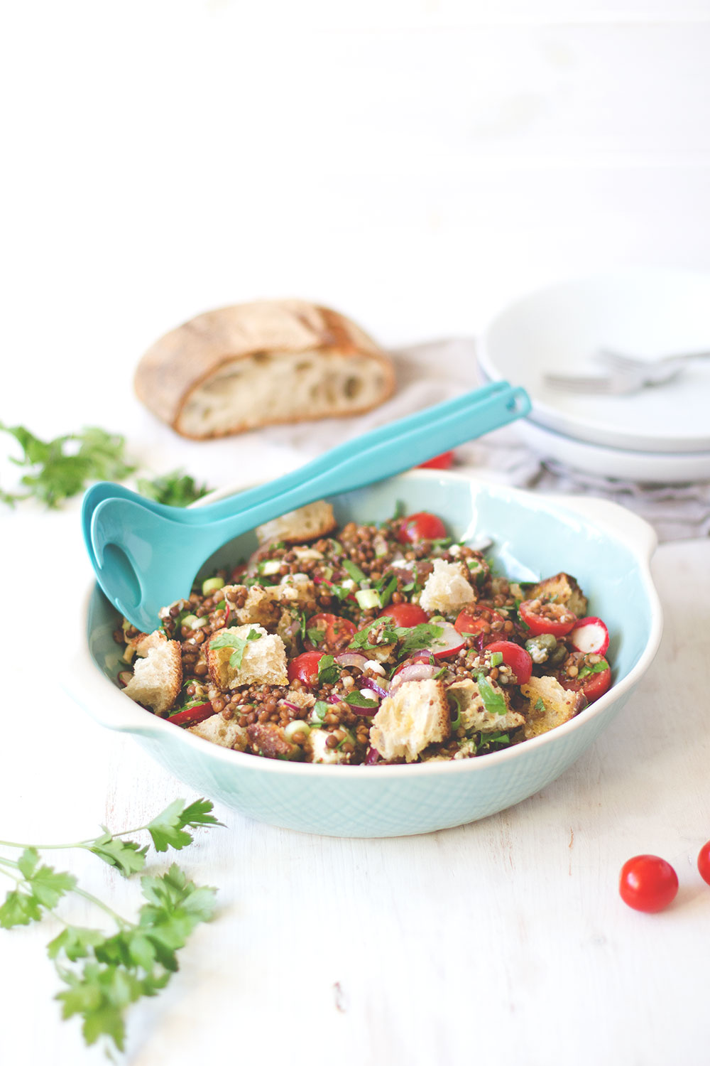Mediterraner Linsensalat mit Ciabatta, Tomaten und Mozzarella - sommerliches Feierabend-Rezept | moeyskitchen.com