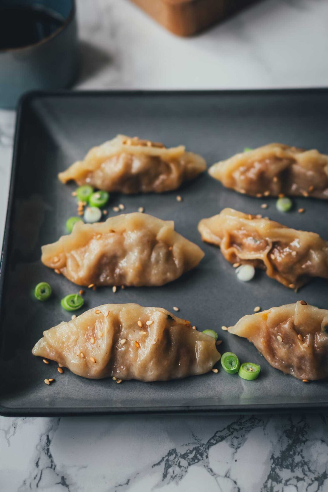 Knusprig gebratene japanische Gyoza auf grauem Teller
