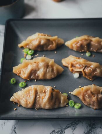 Knusprig gebratene japanische Gyoza auf grauem Teller