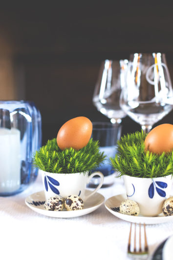 food-blog-meet-spezial-19