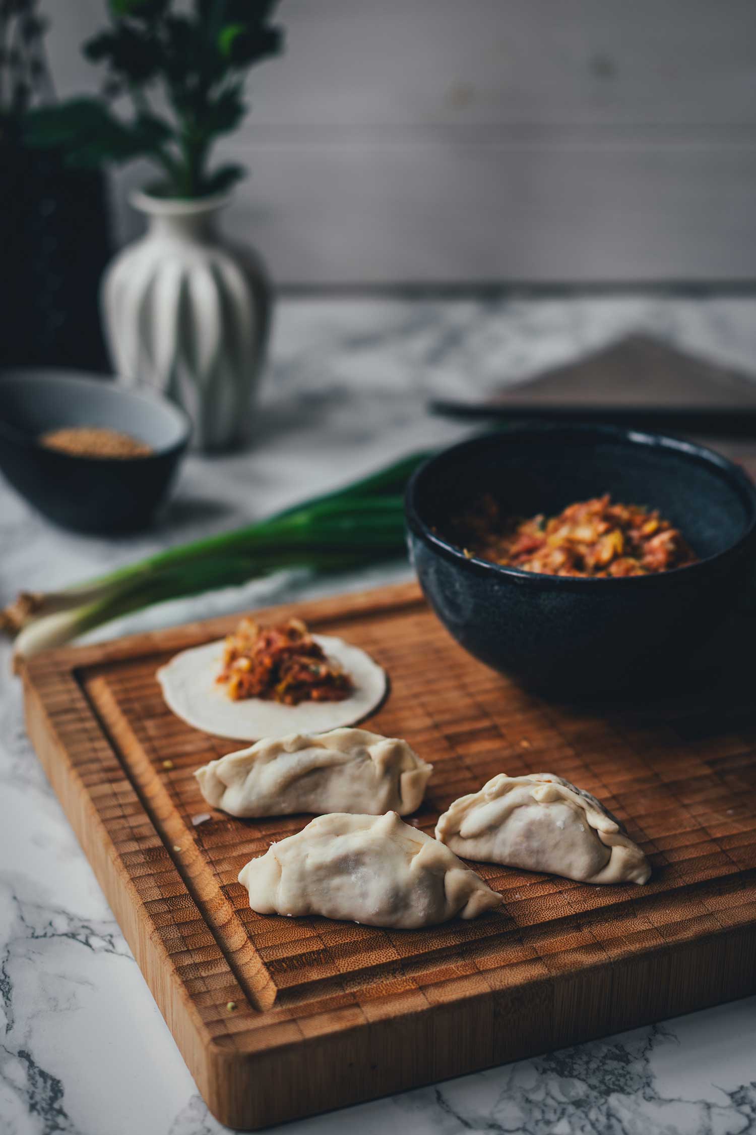 Gyoza füllen mit Schweinefleisch und Chinakohl