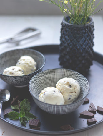 Rezept für cremiges Minz-Schoko-Eis mit frischer Minze und Schokostückchen | moeyskitchen.com