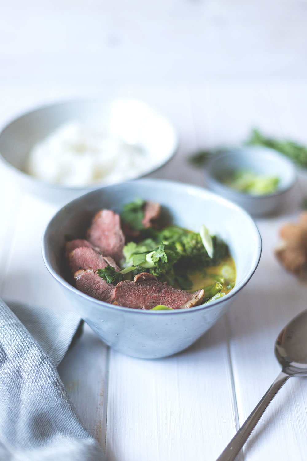 Rezept für einfaches grünes Thai-Curry mit knuspriger Entenbrust, grünen Bohnen, Brokkoli, Frühlingszwiebeln und Koriander | Saisonal schmeckt's besser | moeyskitchen.com
