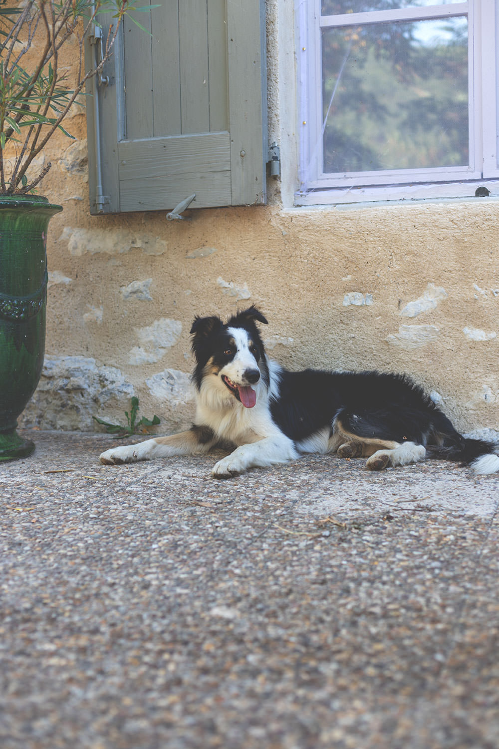 Kulinarischer Reisebericht durch Provence und Camargue mit dem französischen Landwirtschaftsministerium | moeyskitchen.com #provence #camargue #frankreich #reise #travel