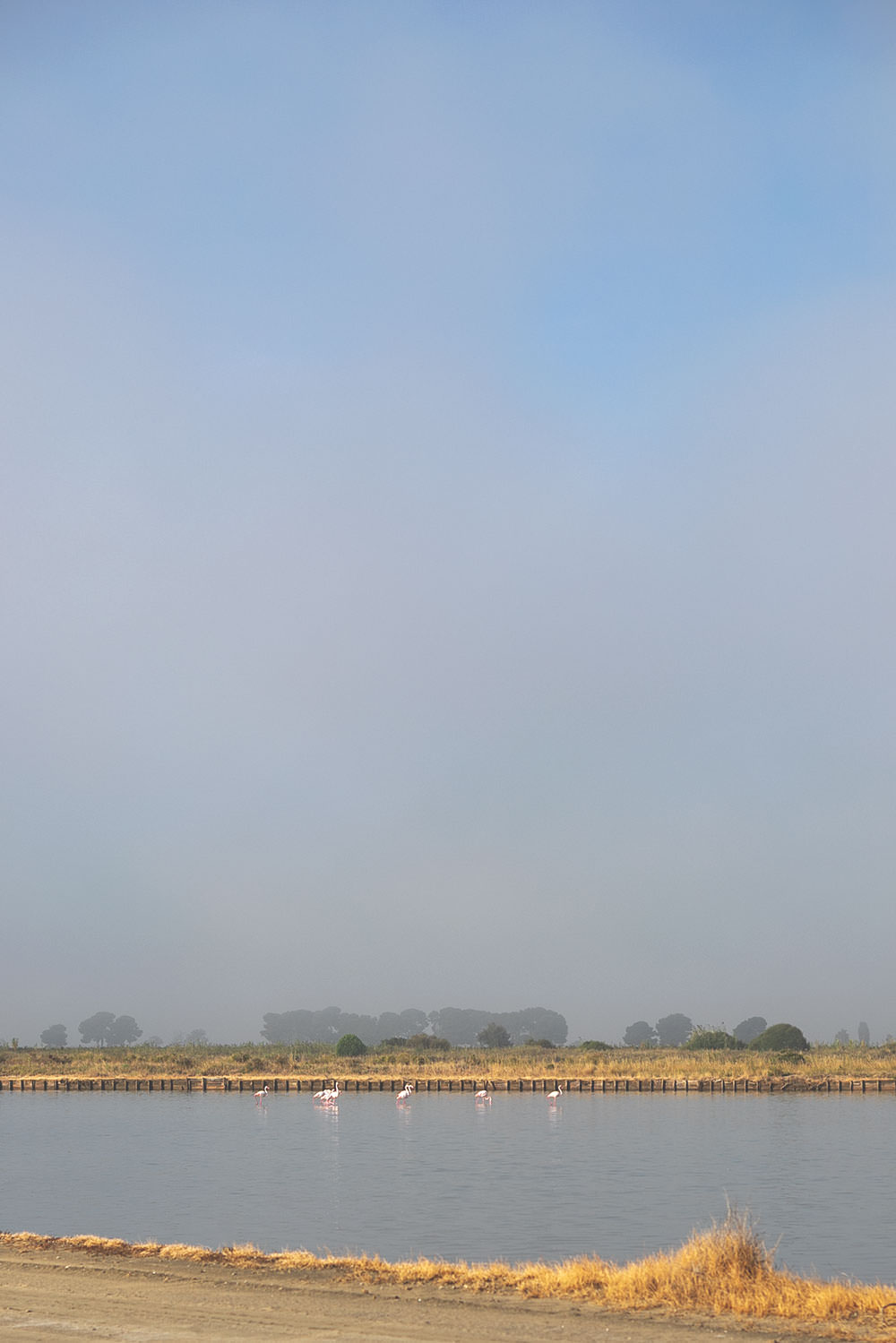 Kulinarischer Reisebericht durch Provence und Camargue mit dem französischen Landwirtschaftsministerium | moeyskitchen.com #provence #camargue #frankreich #reise #travel