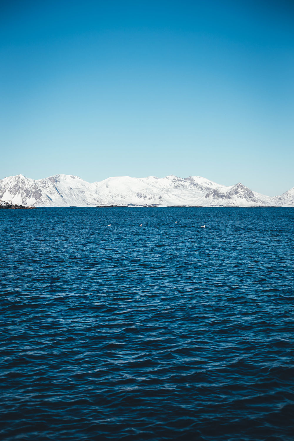 Werbung: Rezept für norwegische Fischsuppe mit Skrei | Fiskesuppe / Torskesuppe | mit Gemüse, Sahne und Crème fraîche | moeyskitchen.com #skrei #fischsuppe #seafoodfromnorway #norwegen #visitnorway #lofoten