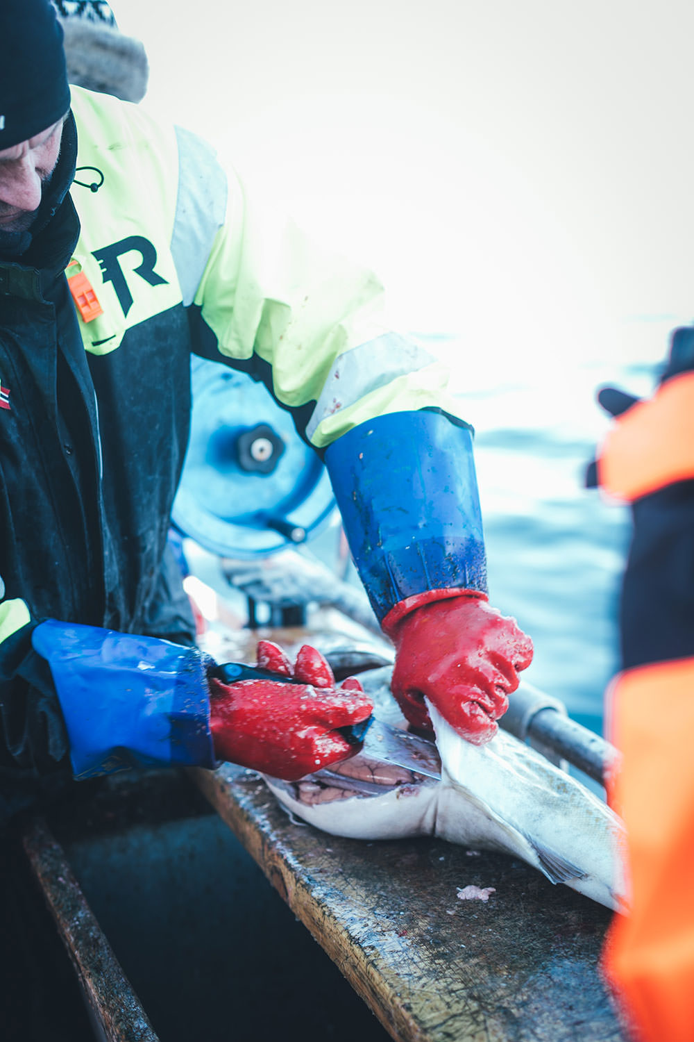 Abenteuer Lofoten - beim Skrei-Fischen in Norwegen | Pressereise mit Seafood from Norway nach Nord-Norwegen | moeyskitchen.com #skrei #lofoten #norwegen #norway #fischen #travel #foodblogger