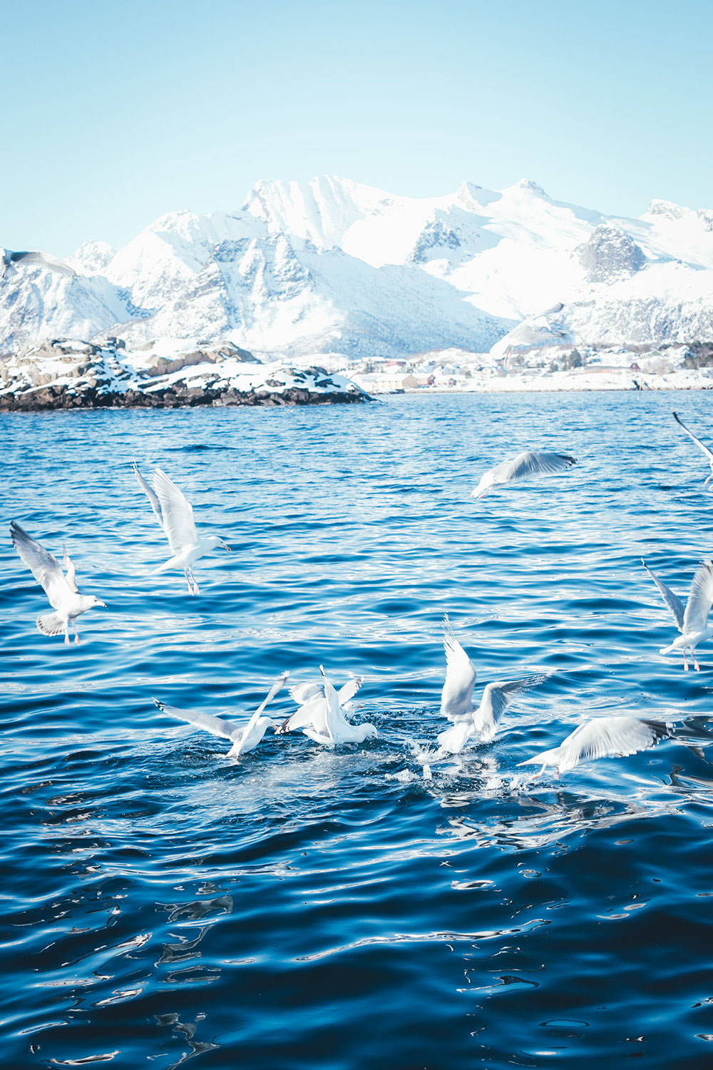 Abenteuer Lofoten - beim Skrei-Fischen in Norwegen | Pressereise mit Seafood from Norway nach Nord-Norwegen | moeyskitchen.com #skrei #lofoten #norwegen #norway #fischen #travel #foodblogger