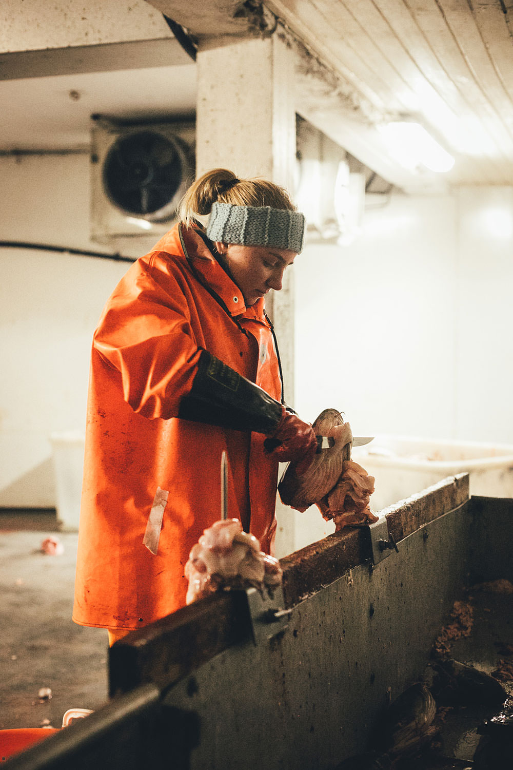 Abenteuer Lofoten - beim Skrei-Fischen in Norwegen | Pressereise mit Seafood from Norway nach Nord-Norwegen | moeyskitchen.com #skrei #lofoten #norwegen #norway #fischen #travel #foodblogger