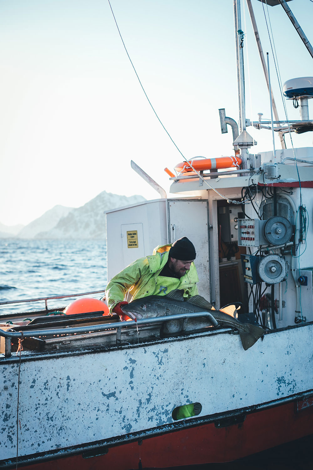 Abenteuer Lofoten - beim Skrei-Fischen in Norwegen | Pressereise mit Seafood from Norway nach Nord-Norwegen | moeyskitchen.com #skrei #lofoten #norwegen #norway #fischen #travel #foodblogger