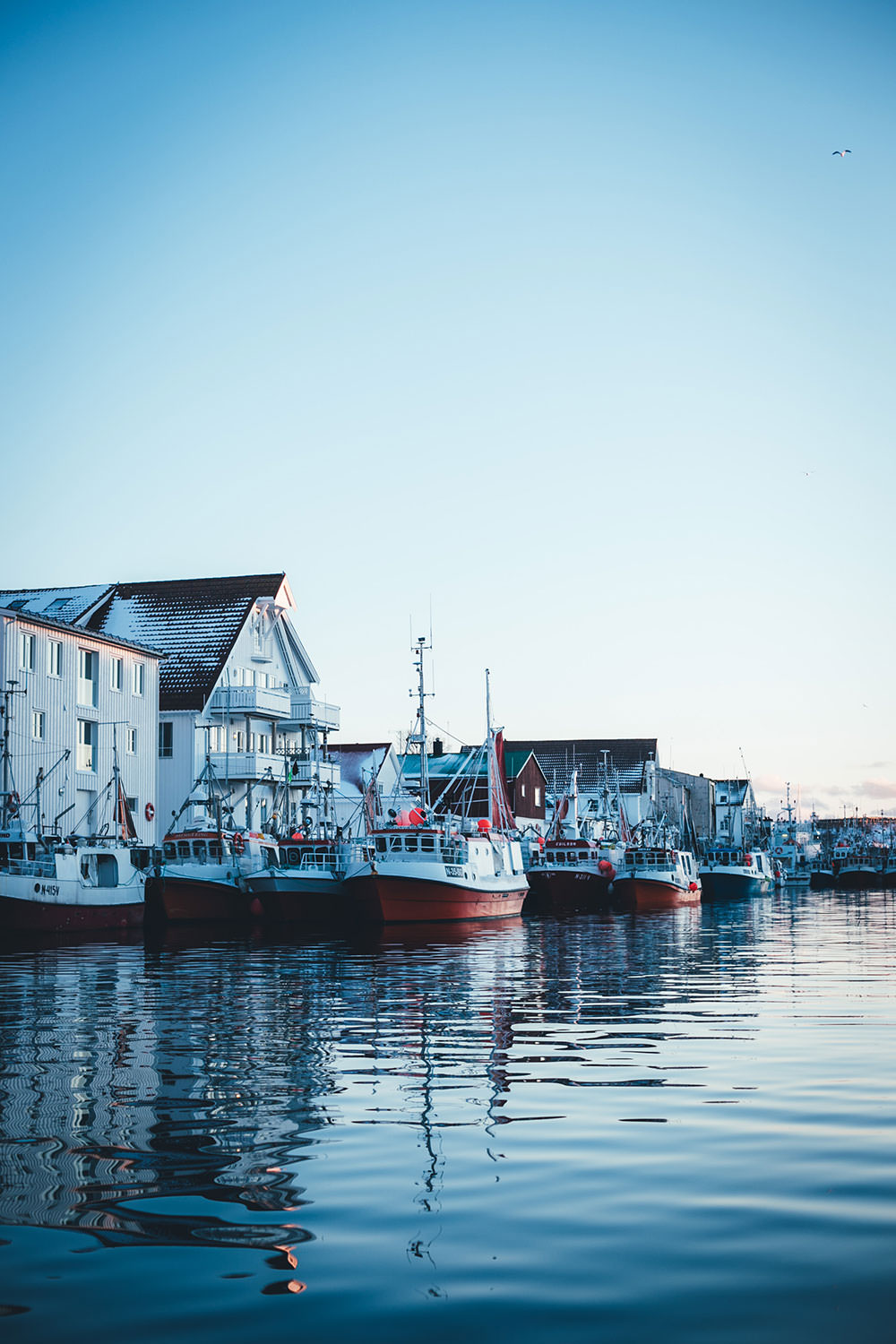 Abenteuer Lofoten - beim Skrei-Fischen in Norwegen | Pressereise mit Seafood from Norway nach Nord-Norwegen | moeyskitchen.com #skrei #lofoten #norwegen #norway #fischen #travel #foodblogger