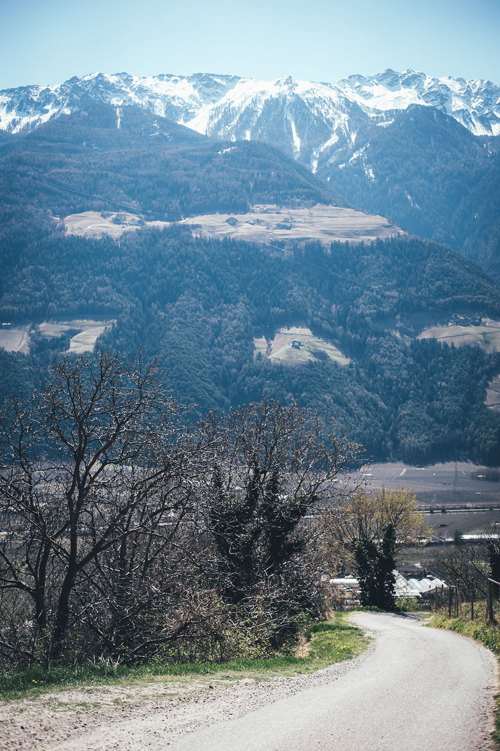 Auf Genussreise durch Südtirol mit Südtiroler Speck g.g.A., Südtiroler Apfel g.g.A., Stilfser g.U. Käse und Südtirol DOC Wein | moeyskitchen.com #südtirol #southtyrol #suedtirol #altoadige #QualitätEuropa #EnjoyItsFromEurope #SuedtirolerApfel #StilfserKaese #SuedtirolerSpeck #SuedtirolWein