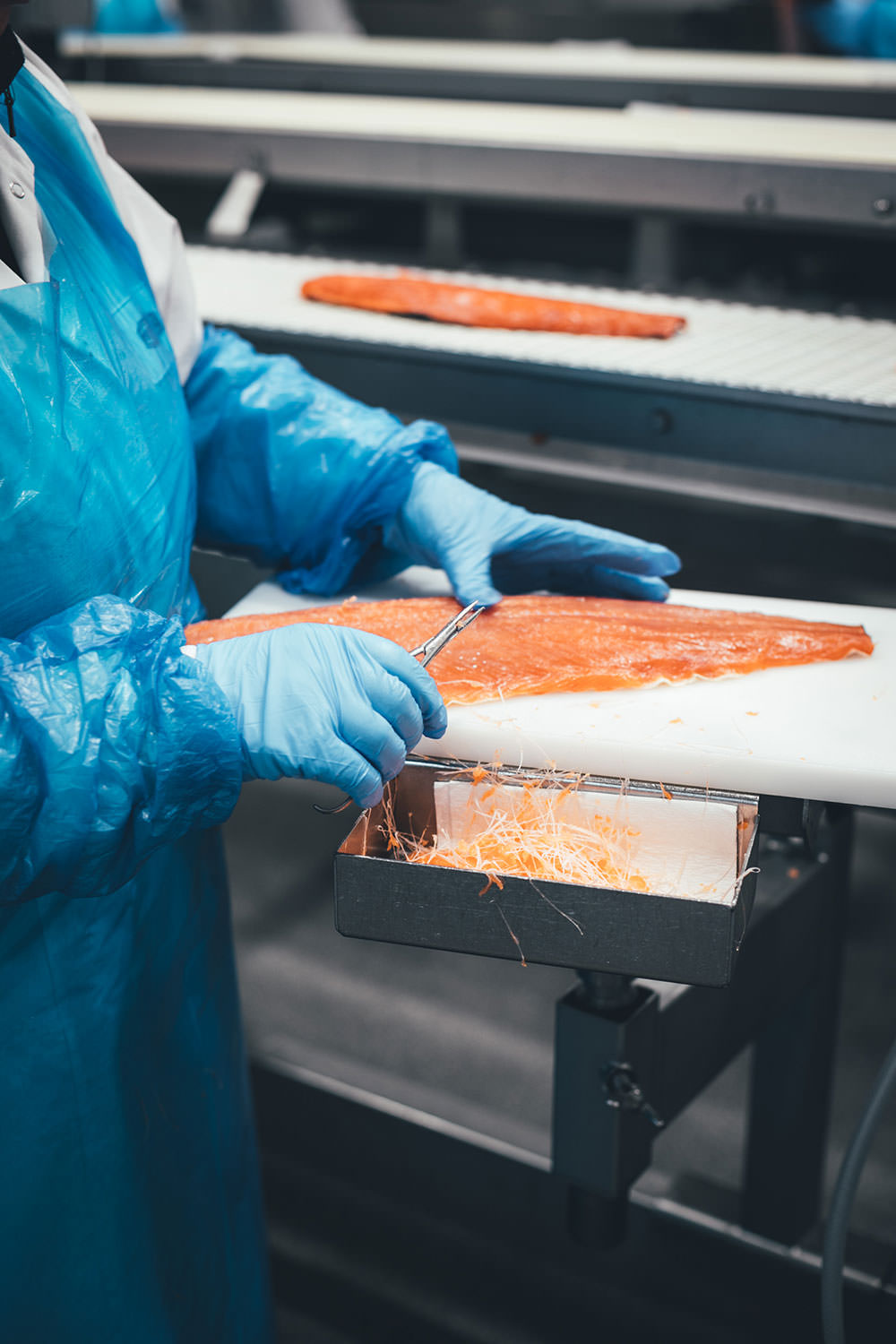 Rezept für frische selbst gemachte Pasta mit geräuchertem Wildlachs Filetstück und cremiger Sauce | Blick hinter die Kulissen in der Produktion von Alaska-Wildlachs-Produkten | Werbung | moeyskitchen.com #wildlachs #alaskawildlachs #pasta #homemade #rezepte #foodblogger #produktion #travelblogger #blickhinterdiekulissen #fischfabrik #friedrichs #friedrichsfeinfisch