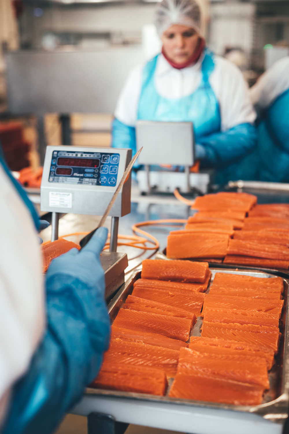 Rezept für frische selbst gemachte Pasta mit geräuchertem Wildlachs Filetstück und cremiger Sauce | Blick hinter die Kulissen in der Produktion von Alaska-Wildlachs-Produkten | Werbung | moeyskitchen.com #wildlachs #alaskawildlachs #pasta #homemade #rezepte #foodblogger #produktion #travelblogger #blickhinterdiekulissen #fischfabrik #friedrichs #friedrichsfeinfisch