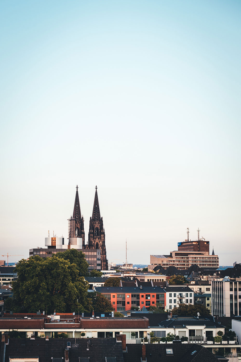 Meine 3 Lieblingsläden in Köln | moeyskitchen.com #lieblingsladen #köln #supportyourlocalbusiness