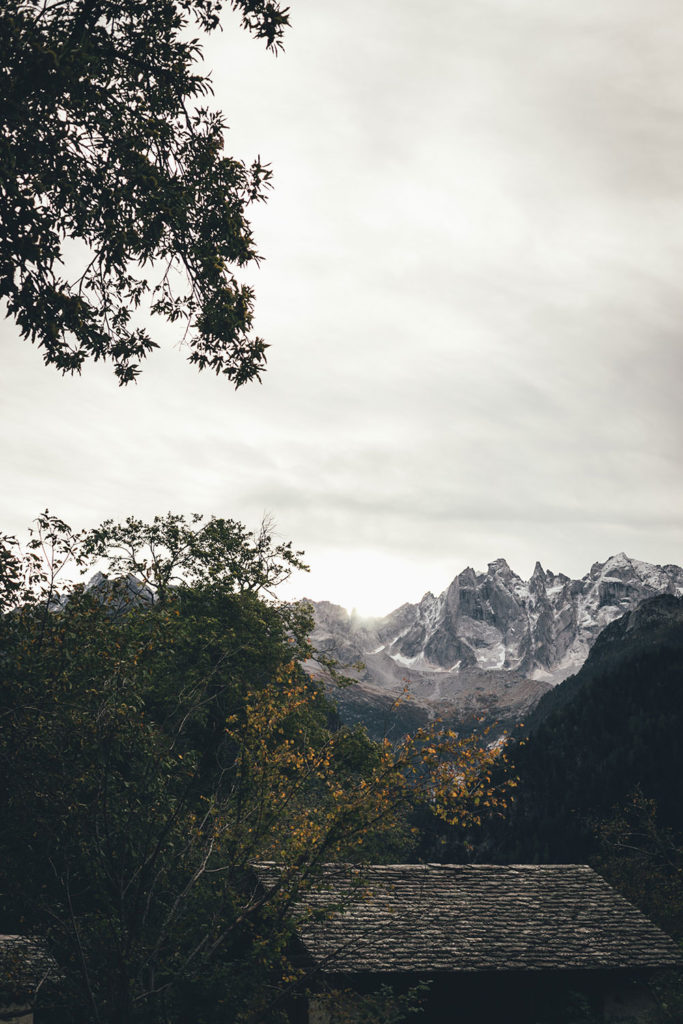 Kastanienselve in der Nähe von Castasegna im Bergell in der Schweiz (Graubünden) | moeyskitchen.com #kastanien #kastanienwald #kastanienselve #schweiz #bergell #graubünden #reise #reisebericht #blog
