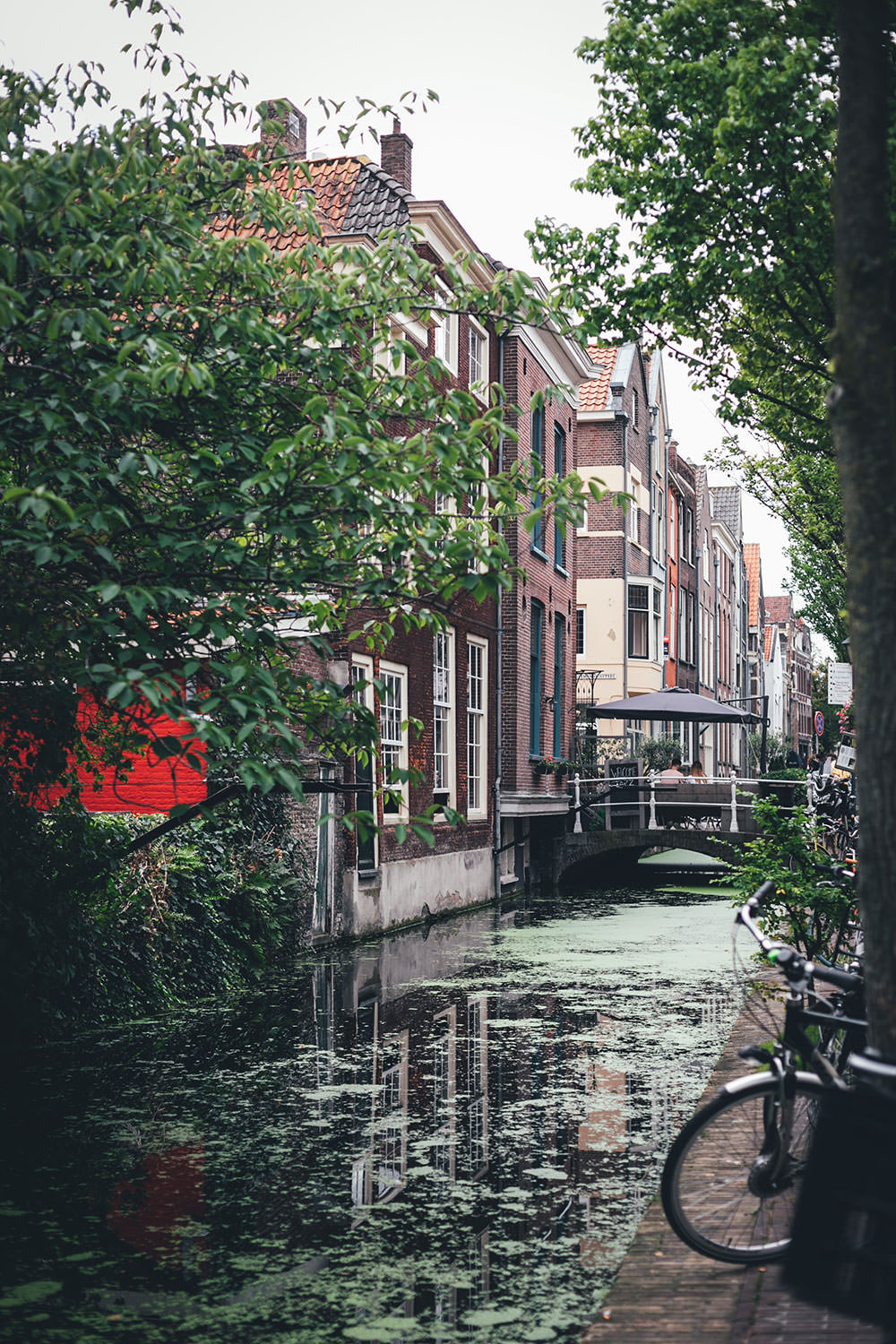 In Delft