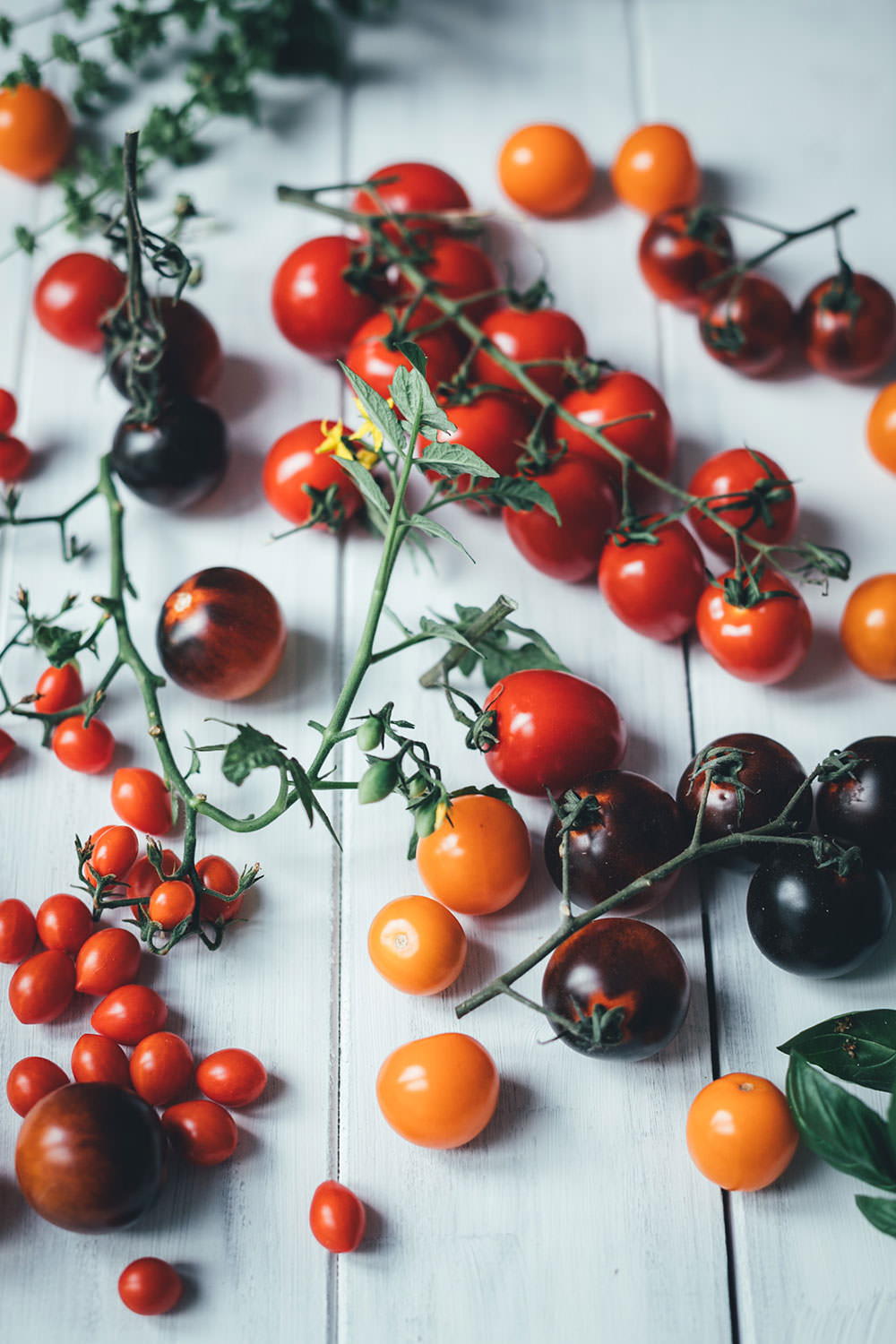 Bunte Tomaten
