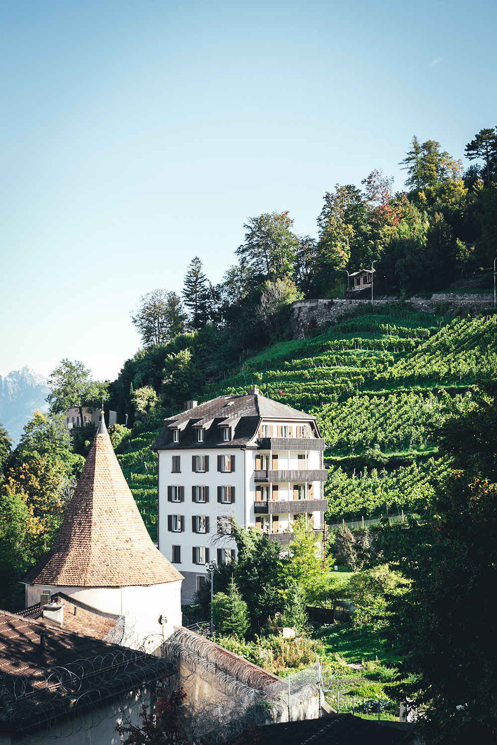 Auf einer Reise durch die Schweiz | moeyskitchen.com