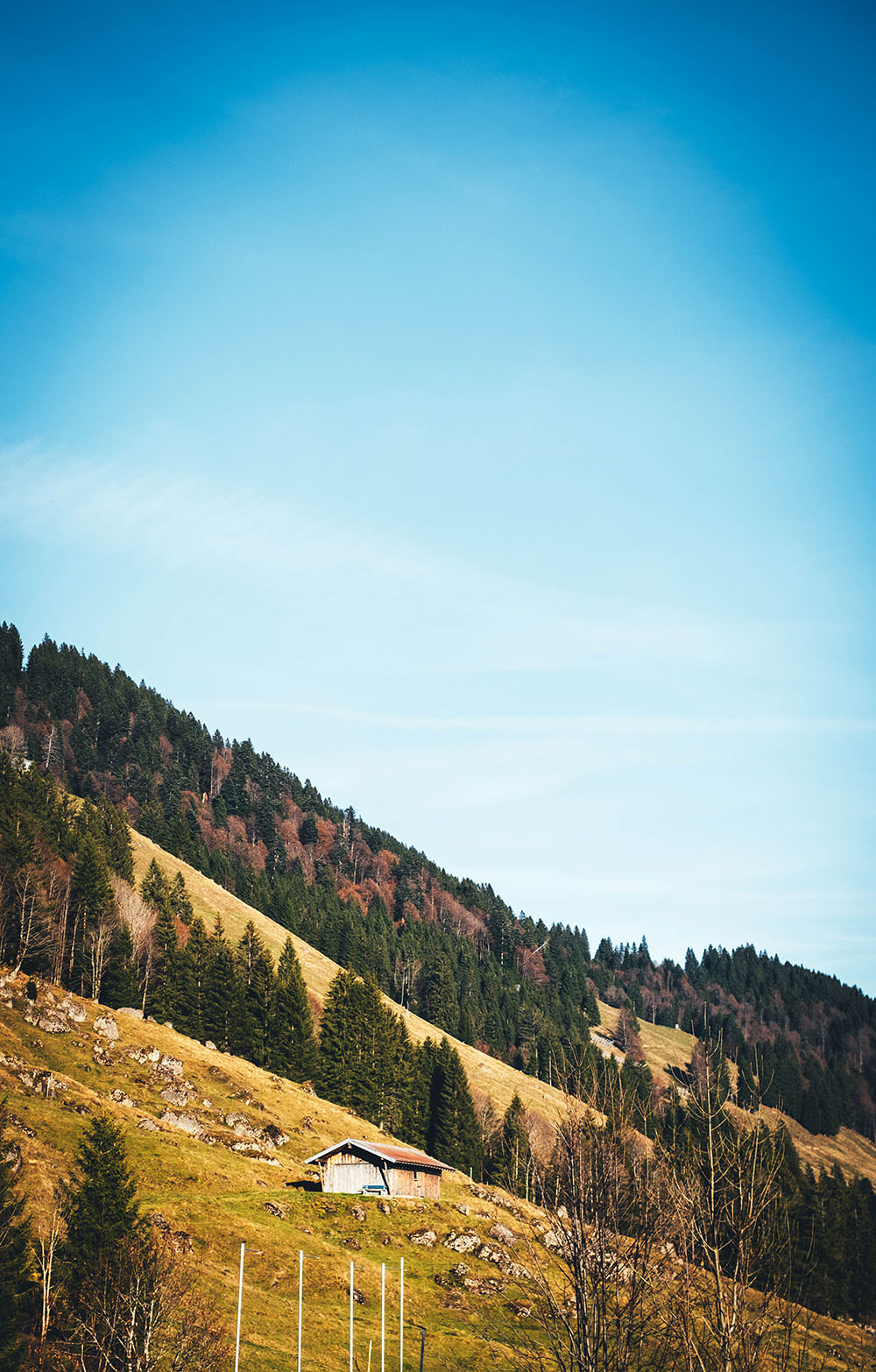 November 2021 im Allgäu | moeyskitchen.com