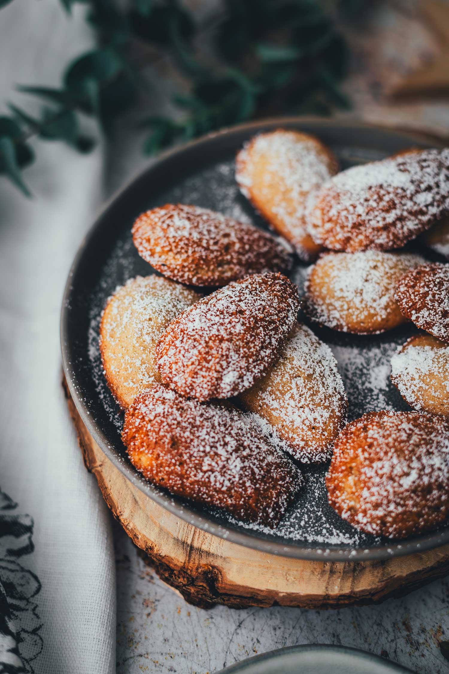 Seitliche Nahaufnahme: Lebkuchen-Madeleines, mit Puderzucker bestreut auf einem Teller | moeyskitchen.com