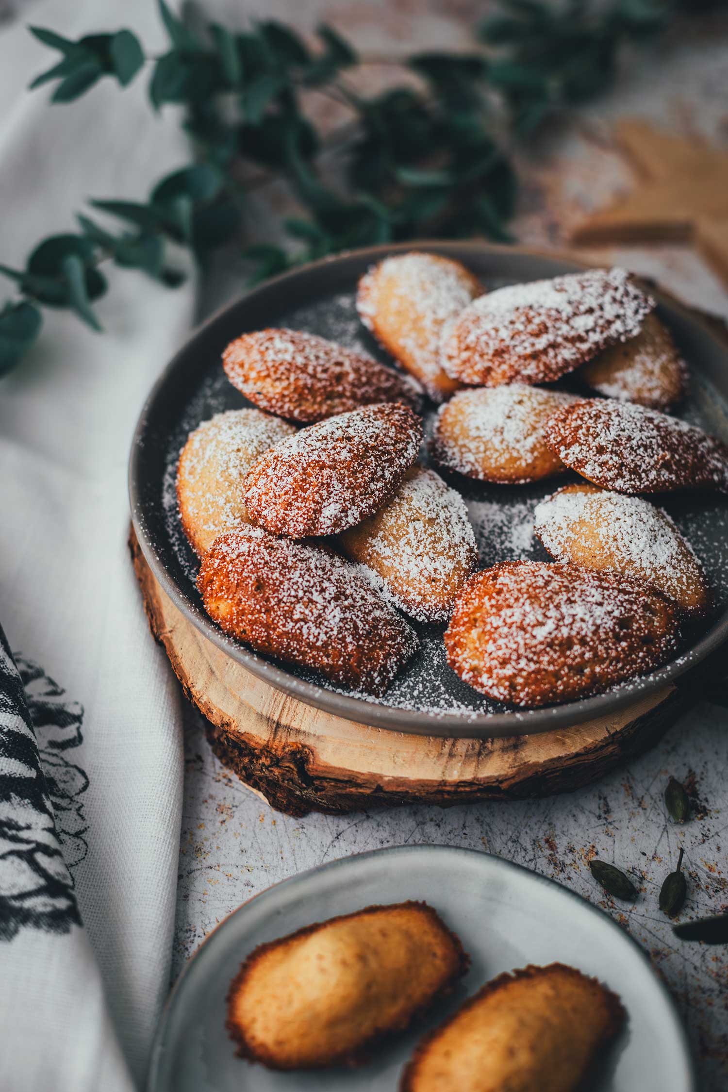 Seitliche Ansicht von einem mit Lebkuchen-Madeleines gefüllten Teller, alles ist mit Puderzucker bestreut | moeyskitchen.com