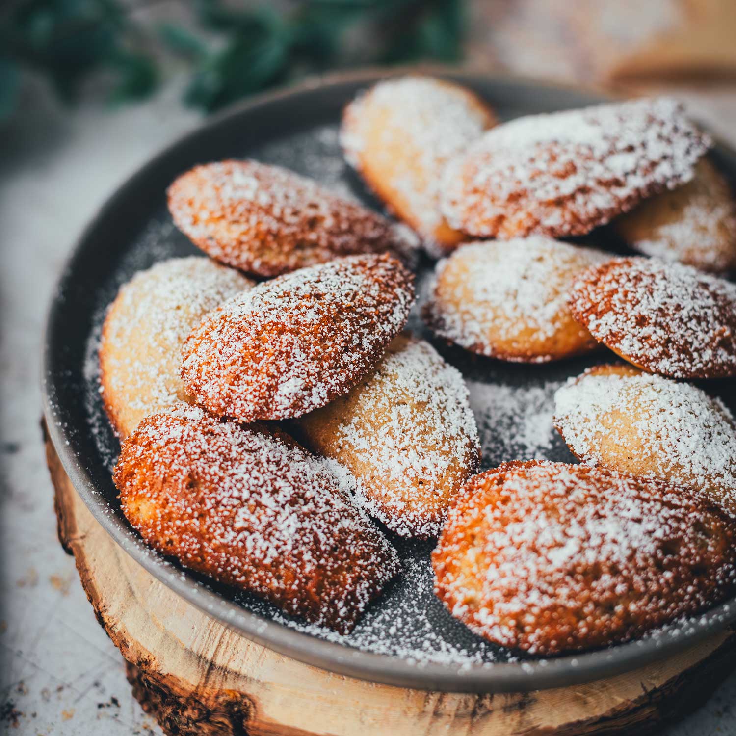 Seitliche Nahaufnahme von einem Teller mit Lebkuchen-Madeleines, die mit Puderzucker bestäubt sind | moeyskitchen.com