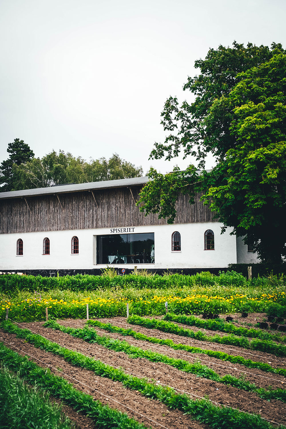 Den Grønne Verden (Die Grüne Welt) in Søllested ist Café, Restaurant, Hofladen und Nutzgarten in einem. | moeyskitchen.com