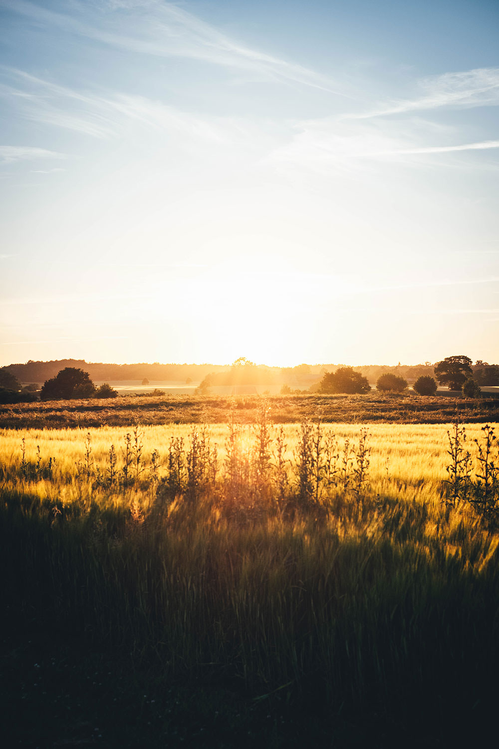 Sonnenuntergang an den Dodekalitten auf Lolland | moeyskitchen.com