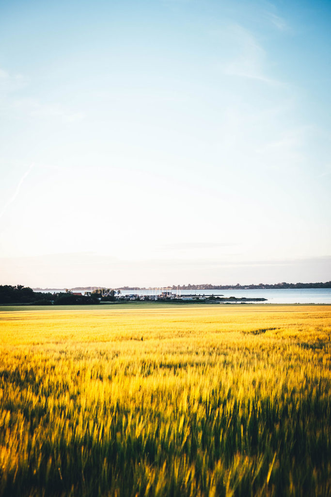 Sonnenuntergang an den Dodekalitten auf Lolland | moeyskitchen.com