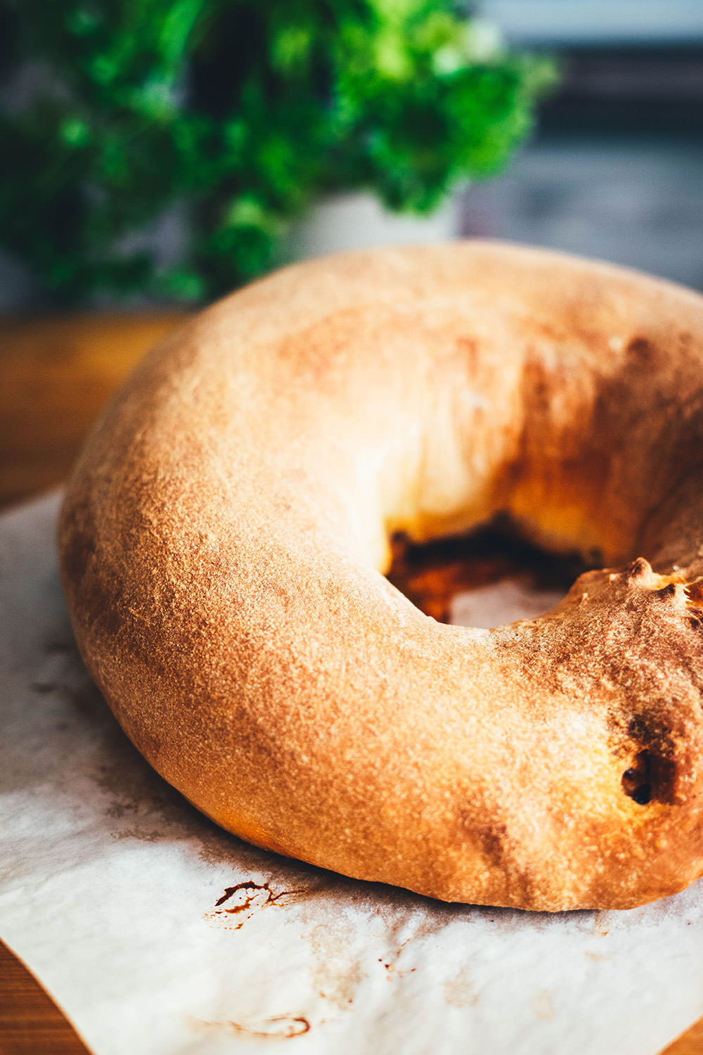 Rezept für Brotkranz mit Parmaschinken, Mozzarello und rotem Pesto | Italieniesches Pizzabrot Tortano | moeyskitchen.com