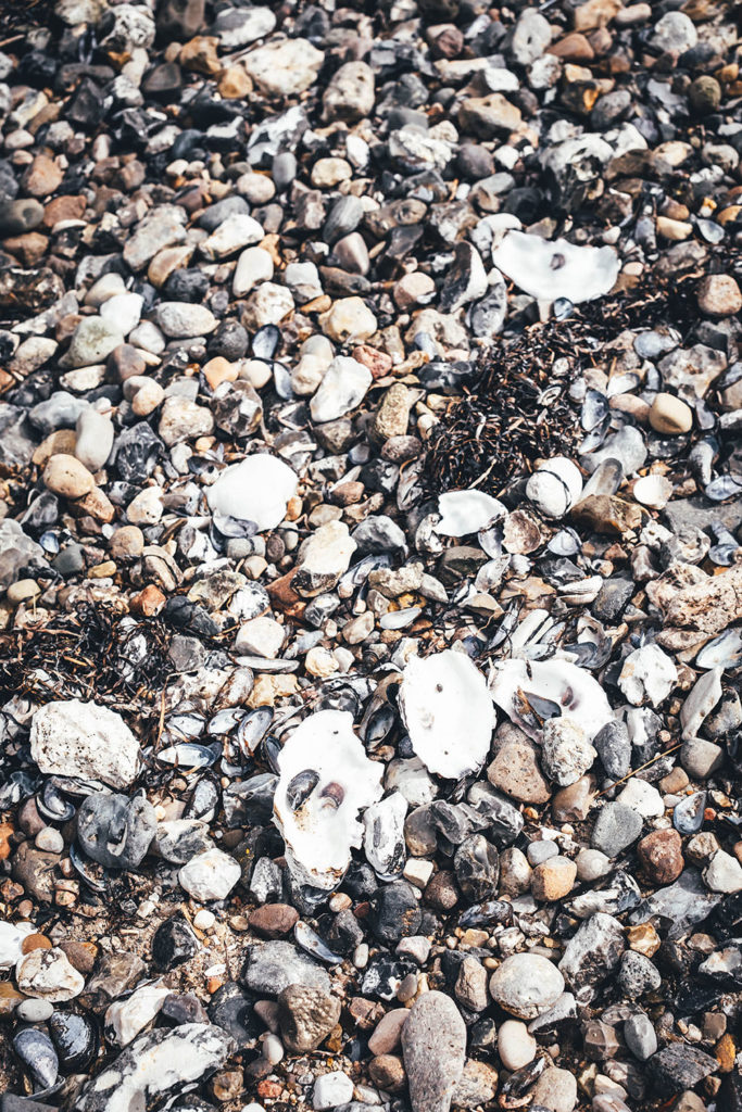 Die Landzunge von Sundsøre findet man viele Muscheln und Austern. | moeyskitchen.com