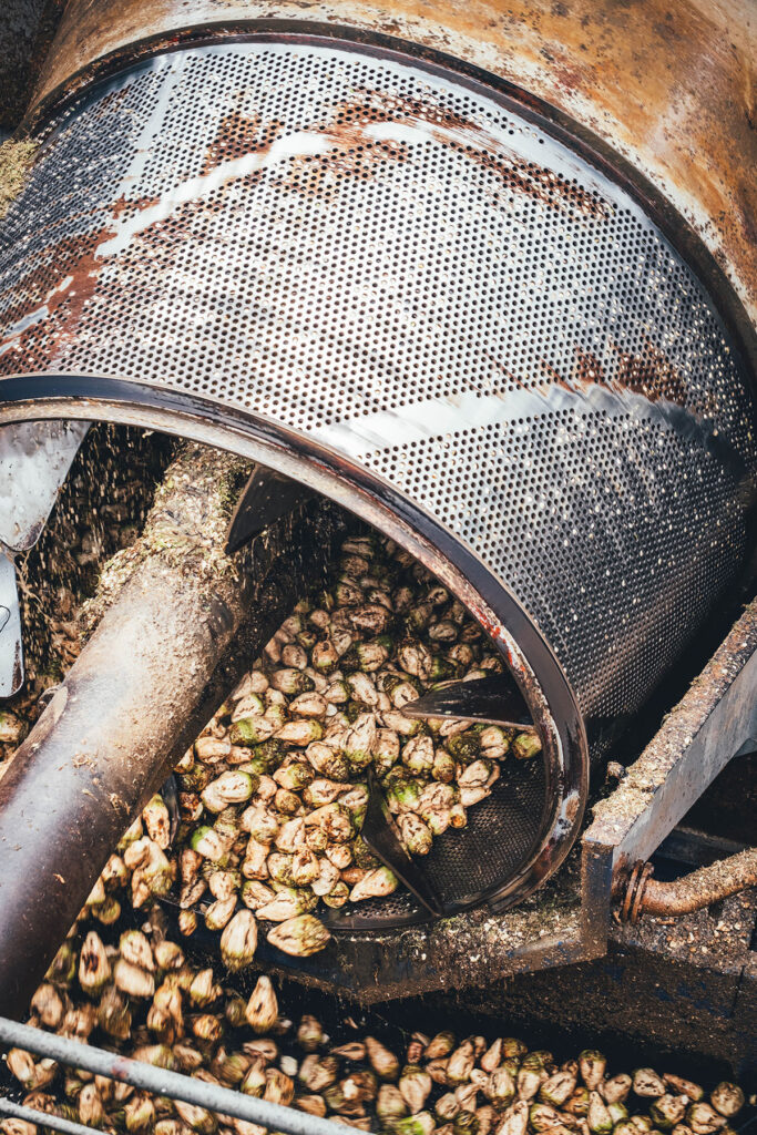 Das Waschen der Zuckerrüben in der Zuckerfabrik | moeyskitchen.com