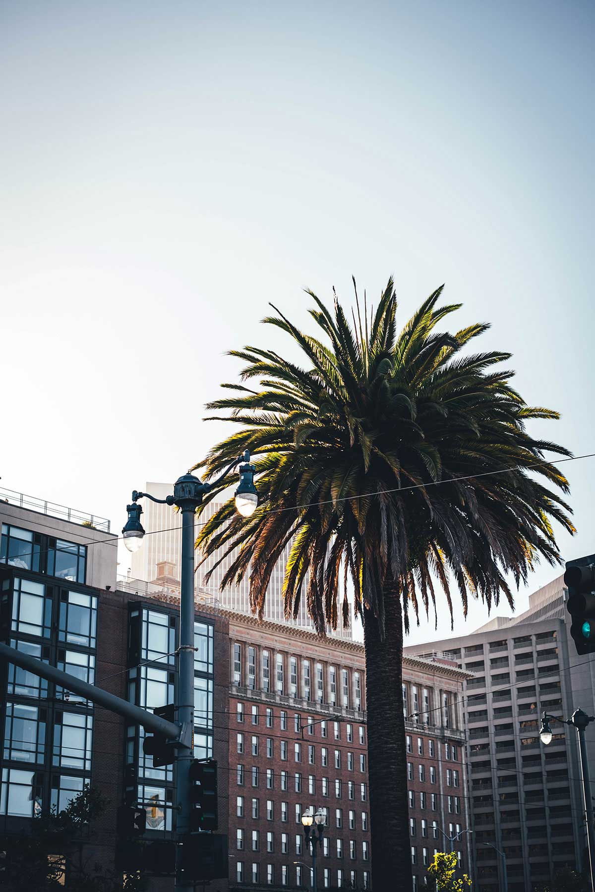 Sonnenuntergang San Francisco, September 2023 | moeyskitchen.com