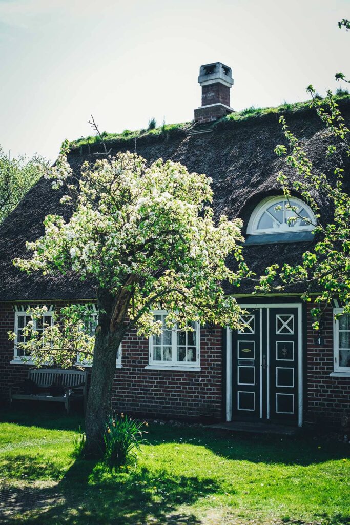 Fanø – Eine entzückende Insel vor der dänischen Nordseeküste | moeyskitchen.com
