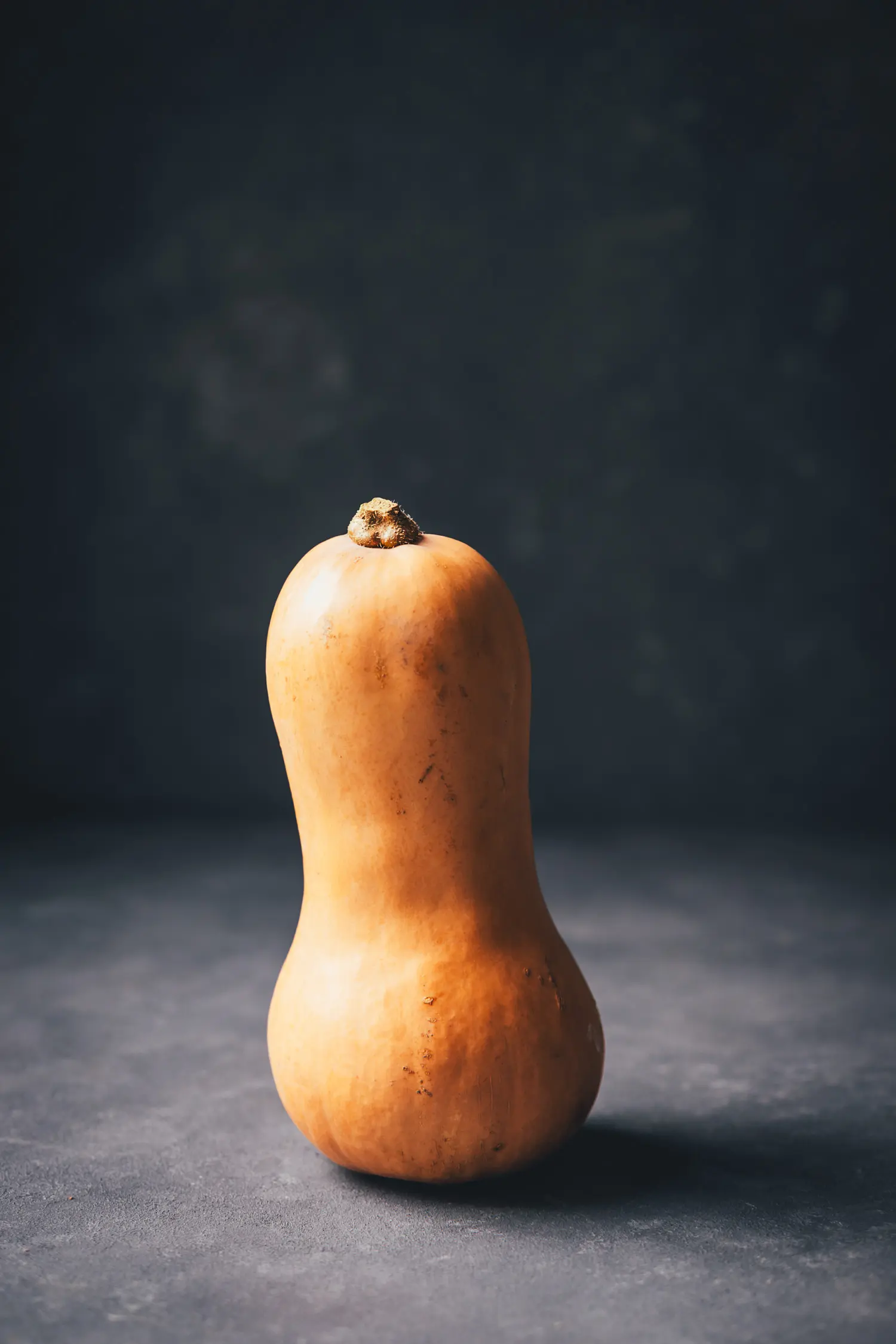 Ein einzelner, aufrecht stehender Butternut Kürbis auf einem dunklen Untergrund.